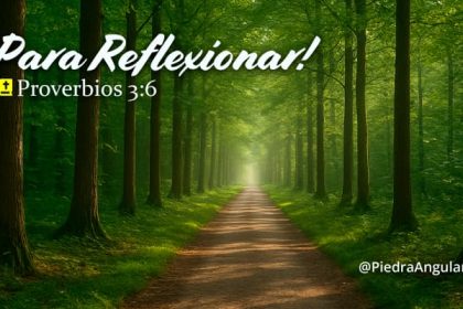 Reflexionar con Proverbios 3:6